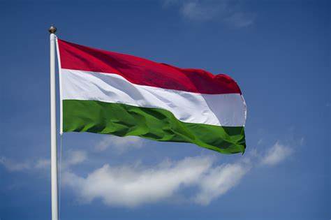 idei de afaceri in Ungaria