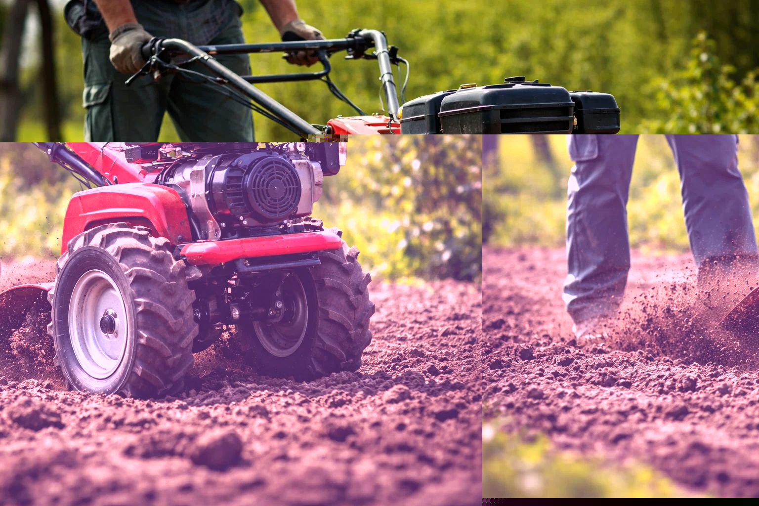 19 12 roti motocultor 2 